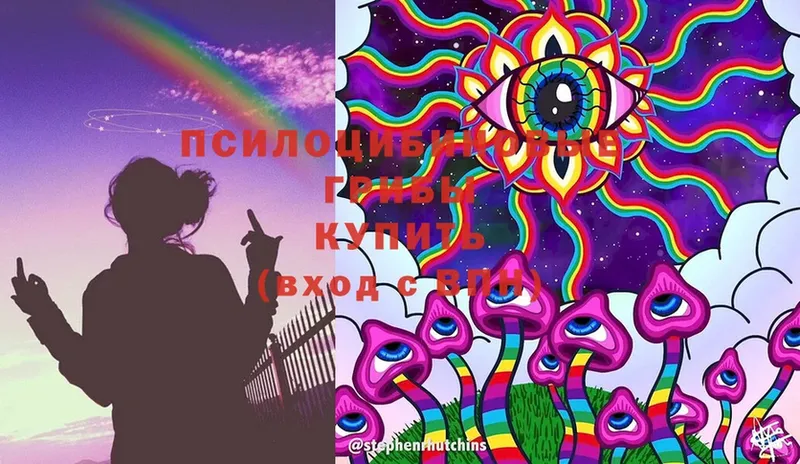 Галлюциногенные грибы MAGIC MUSHROOMS  Агрыз 